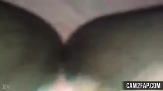 Cunt Free Amateur Squirting Porn tape
